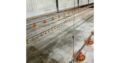 Vende-se Aviário industrial na FACIM