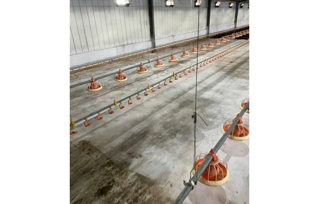 Vende-se Aviário industrial na FACIM