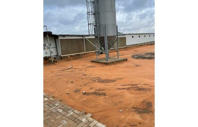 Vende-se Aviário industrial na FACIM